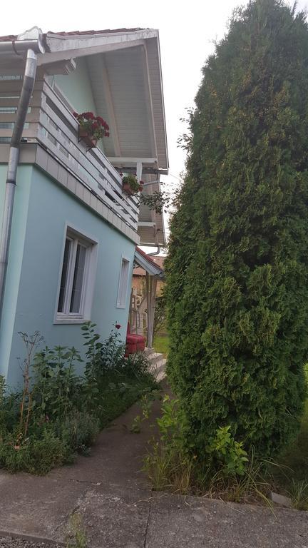 Casa Cristina Villa Sovata Luaran gambar